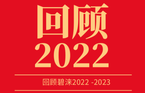 回顧碧淶2022,， 展望未來